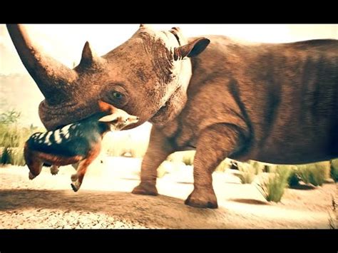 Miocene White Rhinoceros Kill Black Backed Jackal In Ancestors Ep