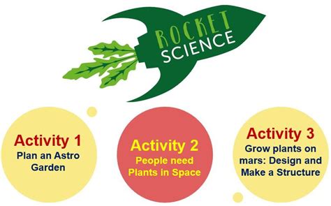 Space seeds planted in schools turn schoolchildren into rocket ...