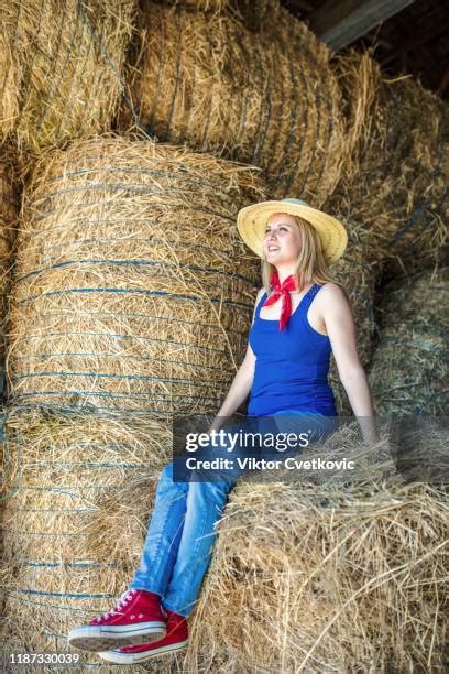 127 Cow Eating Corn Stock Photos, High-Res Pictures, and Images - Getty ...