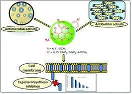 One Pot Three Component Domino Protocol For The Synthesis Of Novel