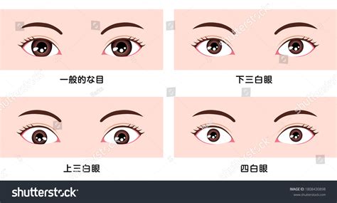 eye shapes  eyeball size stock vector royalty