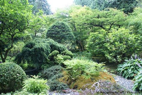 Waldgarten Anlegen So Wird S Gemacht Garten HausXXL Garten