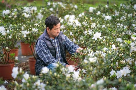 新北推萬金杜鵑職人體驗遊程 感受在地人文風情 大台北 地方 聯合新聞網