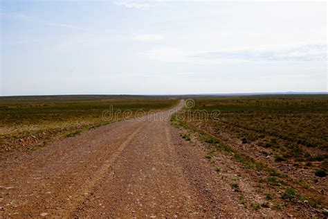 A New Mexico road stock photo. Image of pasture, ecosystem - 99103136