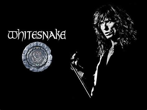 🔥 140 Whitesnake Wallpapers Wallpapersafari