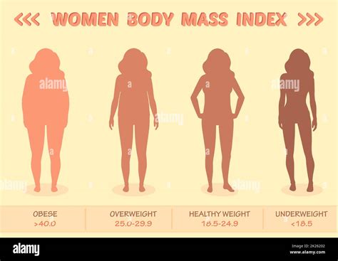 Tabla De Clasificación Imc Medida Mujer Infografía Del