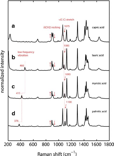 Experimental Raman Spectra Of Dry Fatty Acids A Capric Acid B