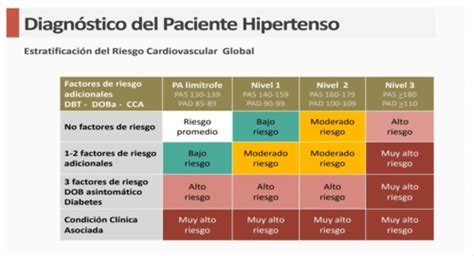 Fichas De Aprendizaje Hipertensi N Arterial Quizlet