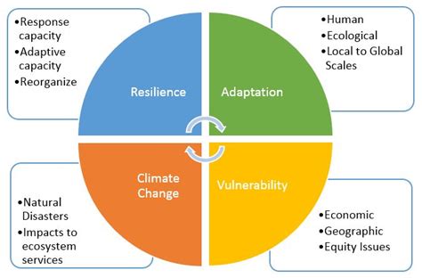 How To Create A Business Resilience Plan And Why