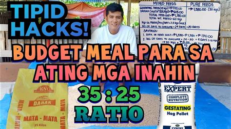 Paano Makatipid Sa Pakain Para Sa Inyong Mga Dumalaga At Inahin Baboy