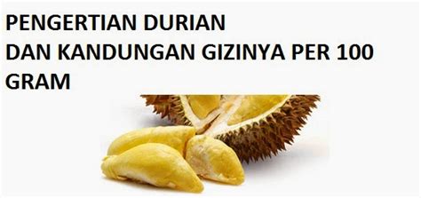 Kandungan Gizi Durian Per Gram Homecare