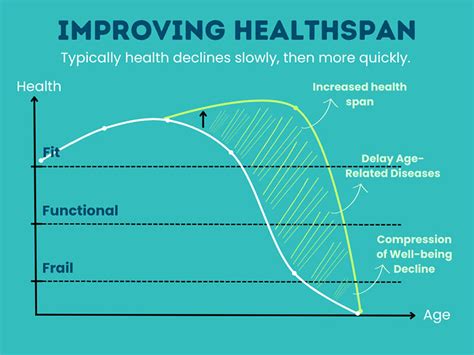 Longevity Coaching Personal Longevity Plan The Longevity Lab