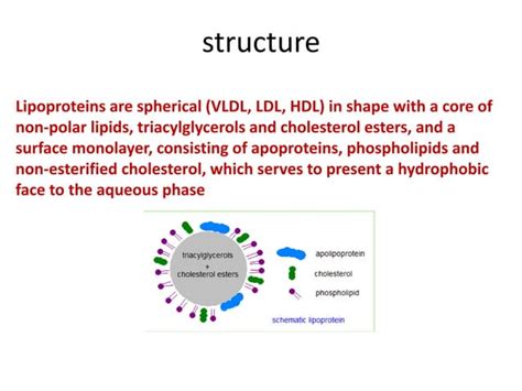 Apolipo Proteins Ppt