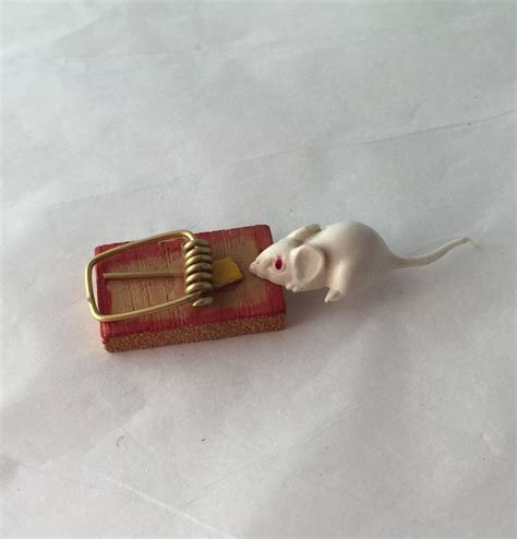 Miniature Mouse and Trap, Mouse trap Novelty, Tiny White Mouse, Shadow ...