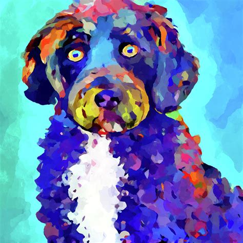 Portuguese Water Dog Painting By Chris Butler Fine Art America