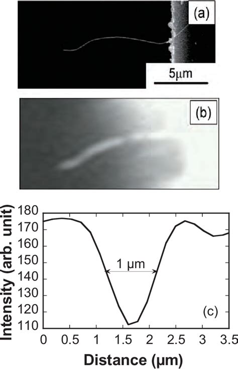 Figure From Carbon Nanotube Mechanical Resonators For Mass Sensing