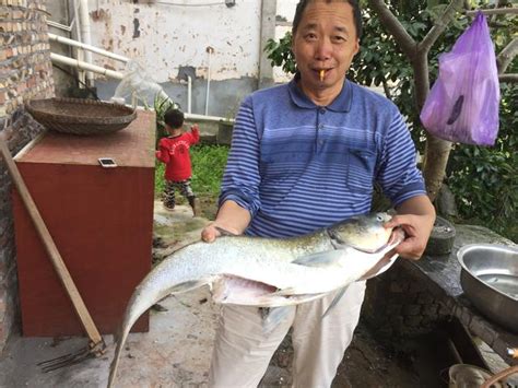 升鍾湖釣到一條大魚！ 每日頭條