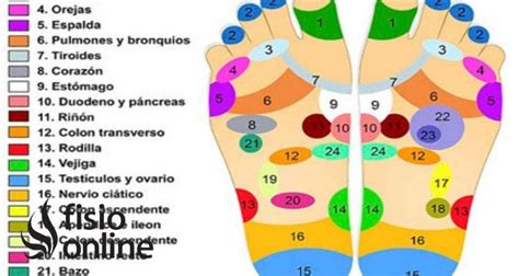 Reflexología Qué Es Indicaciones Usos Contraindicaciones Y Efectos