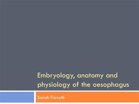 Pdf Embryology Anatomy And Physiology Of The Oesophagus Dokumentips