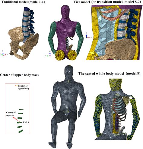 Figure 1 From The Finite Element Model Of Seated Whole Human Body For