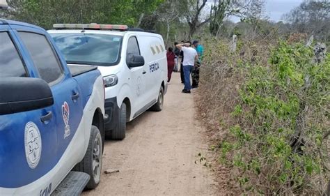 Corpo De Homem Encontrado S Margens De Estrada