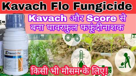 Kavach Flo Syngenta Kavach Flo Fungicide Clorothalonil 40