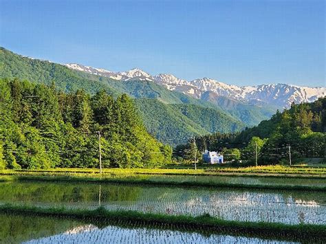 大下（おおしも）から見た白馬三山 九代目七右衛門の徒然日記