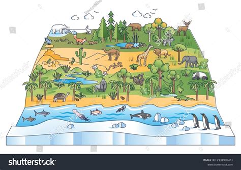 Diversity Ecosystem Images: Browse 21,682 Stock Photos & Vectors Free ...