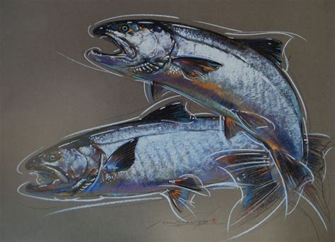 Coho - Silver Salmon - Print of Pastel Drawing | Dan Chen - Nature and ...