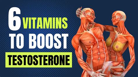 Boost Your Testosterone Naturally The Top 6 Vitamins You Need YouTube