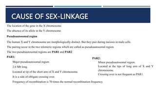 SEX DETERMINATION LINKAGE Pptx