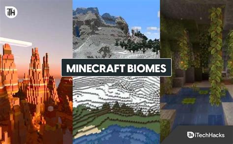 Different Minecraft Biomes 2023 List Of All Biomes In 2023 Biomes