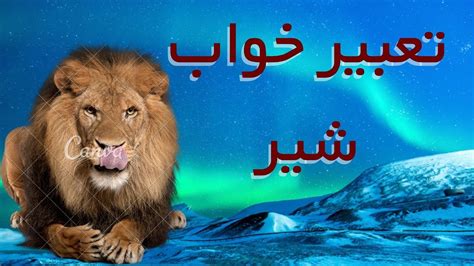 تعبیر خواب شیر تعبیر خواب شیر درنده شیر نر حمله شیر نشستن بر