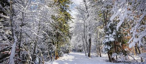 Estonia's breathtaking winter hiking trails | Visit Estonia