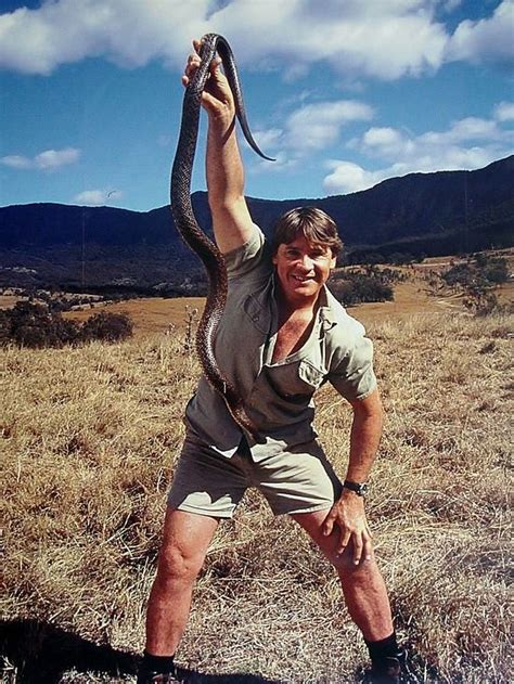 101 best Steve irwin images on Pinterest | Steve irwin, Crocodile hunter and Irwin family