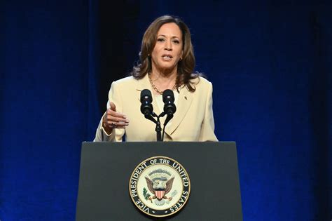 Buzz builds around Kamala Harris should Biden withdraw - ABC News