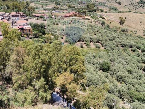 Terreno Agricolo Contrada Timpazza Pozzo Palma San Pietro Clarenza