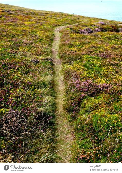 Trampelpfad Weg Pfad Ein Lizenzfreies Stock Foto Von Photocase