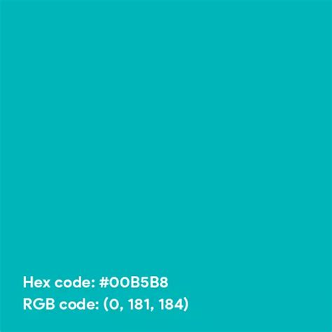 Bright Teal color hex code is #00B5B8