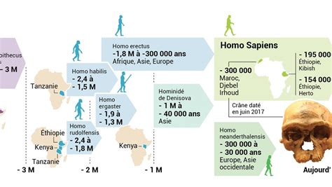 Coup De Vieux Pour Homo Sapiens Ladepechefr