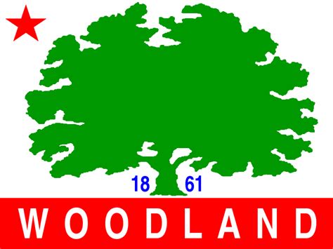 Information about "logo.png" on front page - Woodland - LocalWiki