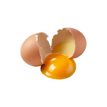 telur premium gambar png file vektor  psd  gratis  pngtree