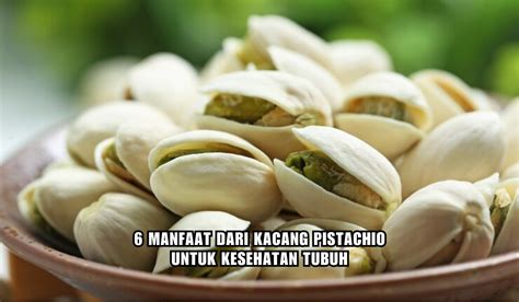 Jarang Diketahui Ini Manfaat Kacang Pistachio Untuk Kesehatan Tubuh