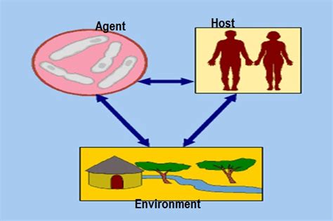 Public Health Leprosy Morbus Hansen