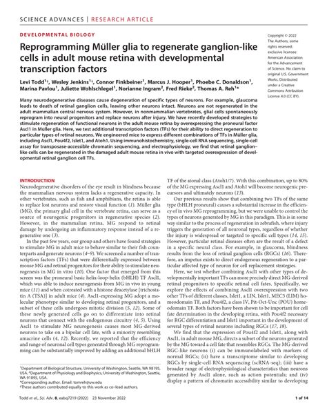 PDF Reprogramming Müller glia to regenerate ganglion like cells in