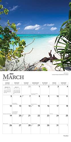 Paradise X Inch Monthly Square Wall Calendar Browntrout