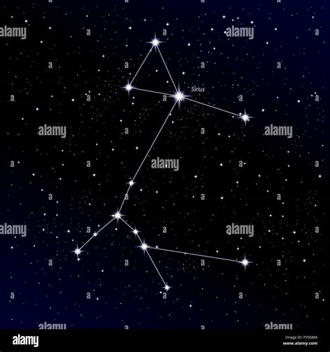 Share more than 55 canis major constellation tattoo - in.cdgdbentre