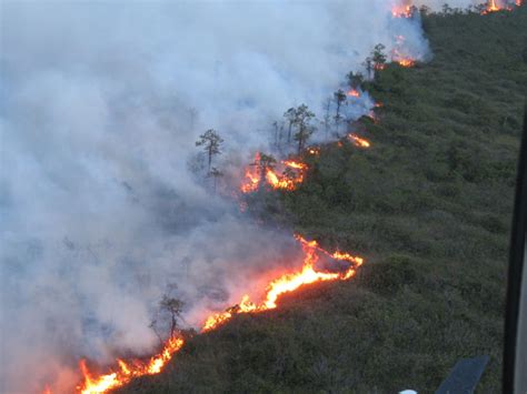 The Impact of Wildfires in North Carolina - North Carolina State ...