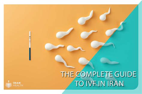 The Complete Guide To IVF In Iran From Starting Your Journey To