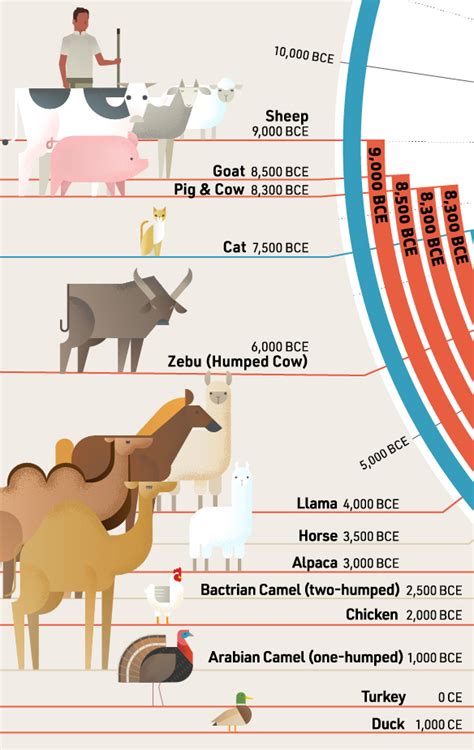 Timeline: The Domestication of Animals - Green Schools Green Future